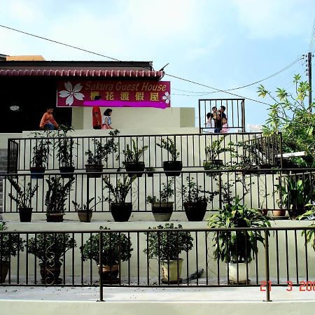 Sakura Guest House 카메론하일랜즈 외부 사진