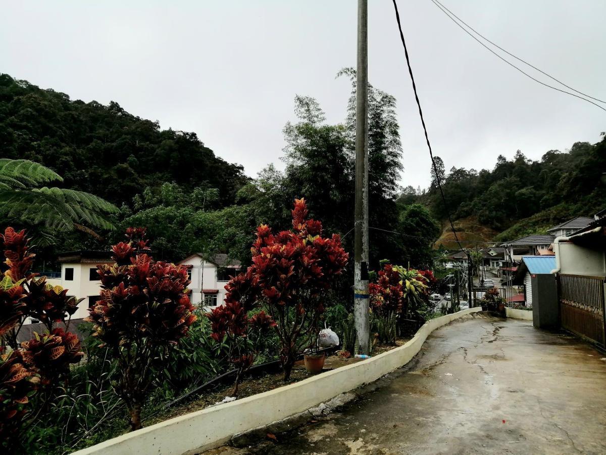 Sakura Guest House 카메론하일랜즈 외부 사진